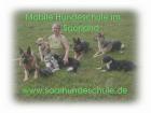 Hundeschule im Saarland